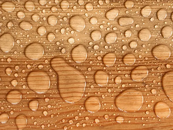 Cedar water drops